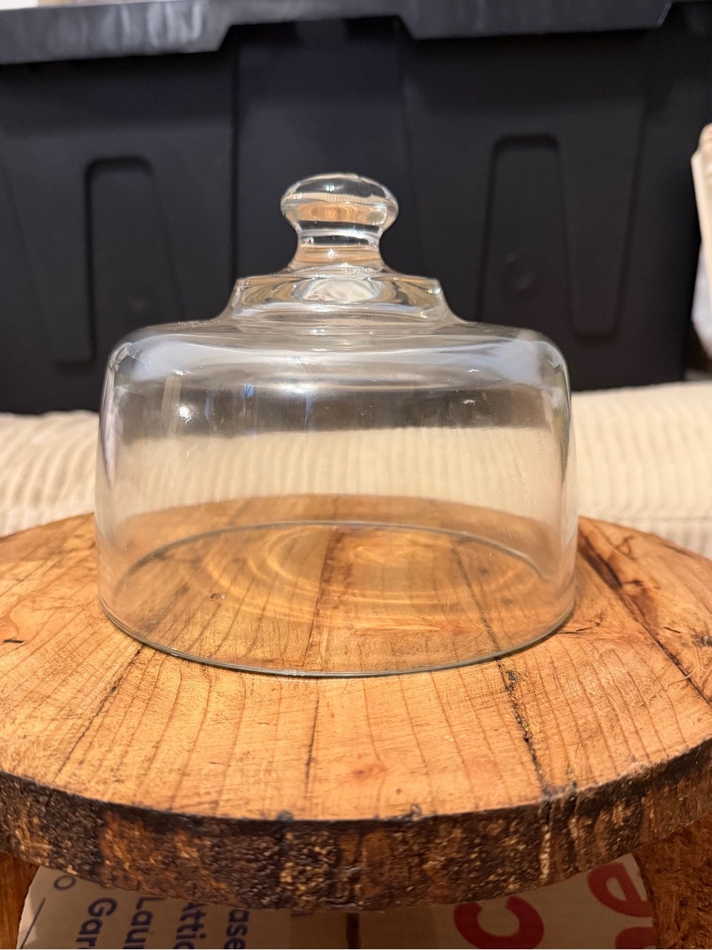Medium Glass Cloche